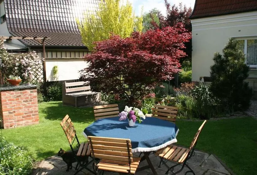 Cosy Apartment In The Harz Mountains