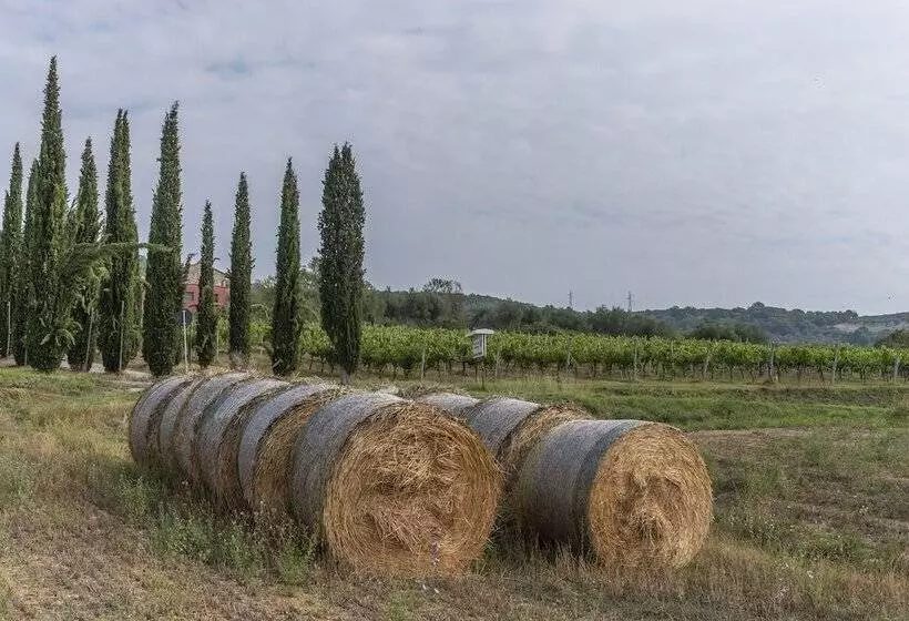 Maaseutuhotelli Agriturismo Le Case Rosse Di Montebuono