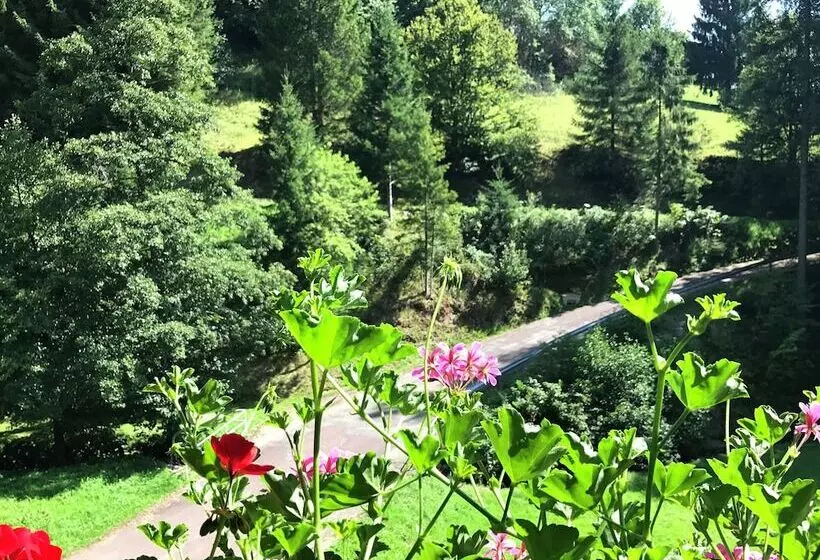 Comfortable Apartment In Baiersbronn With Balcony