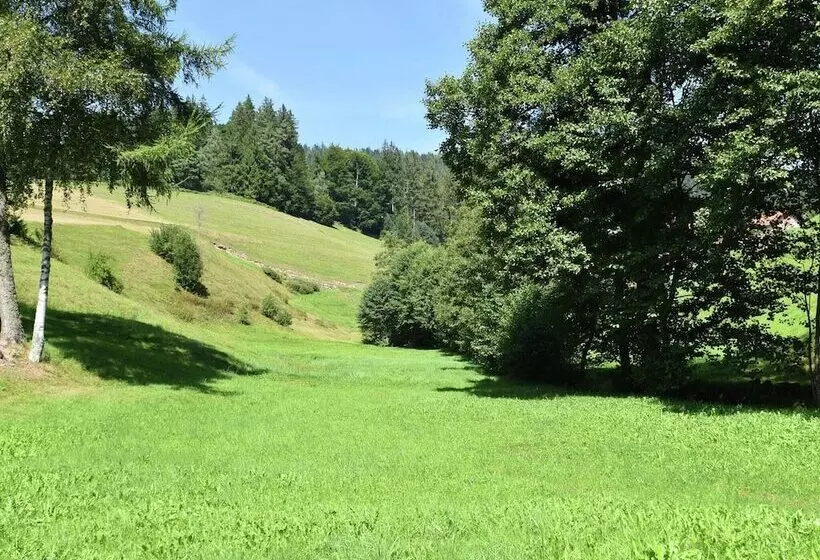 Comfortable Apartment In Baiersbronn With Balcony