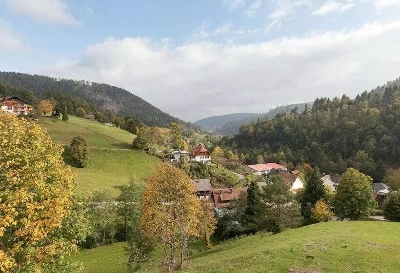 Comfortable Apartment In Baiersbronn With Balcony