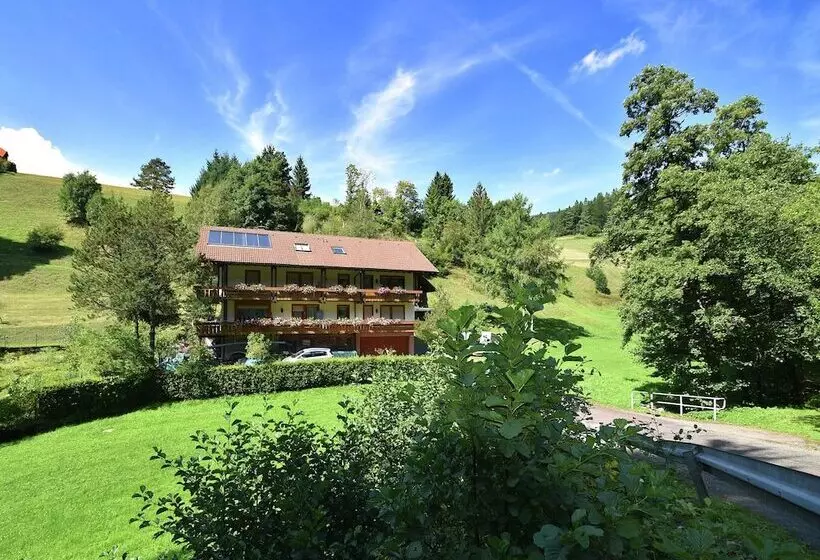 Comfortable Apartment In Baiersbronn With Balcony