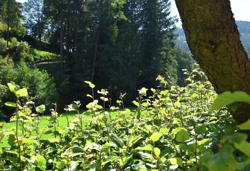 Comfortable Apartment In Baiersbronn With Balcony