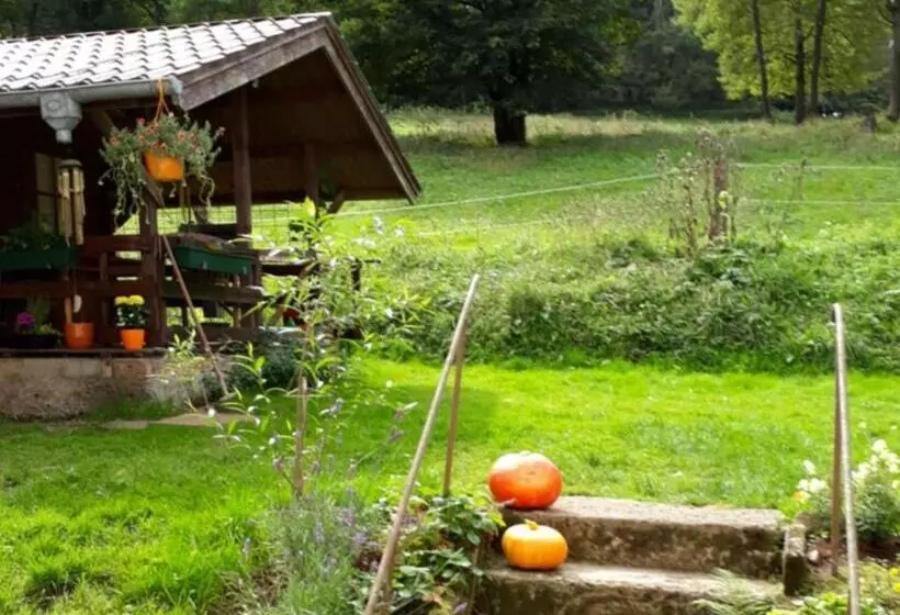Apartment With Panoramic View