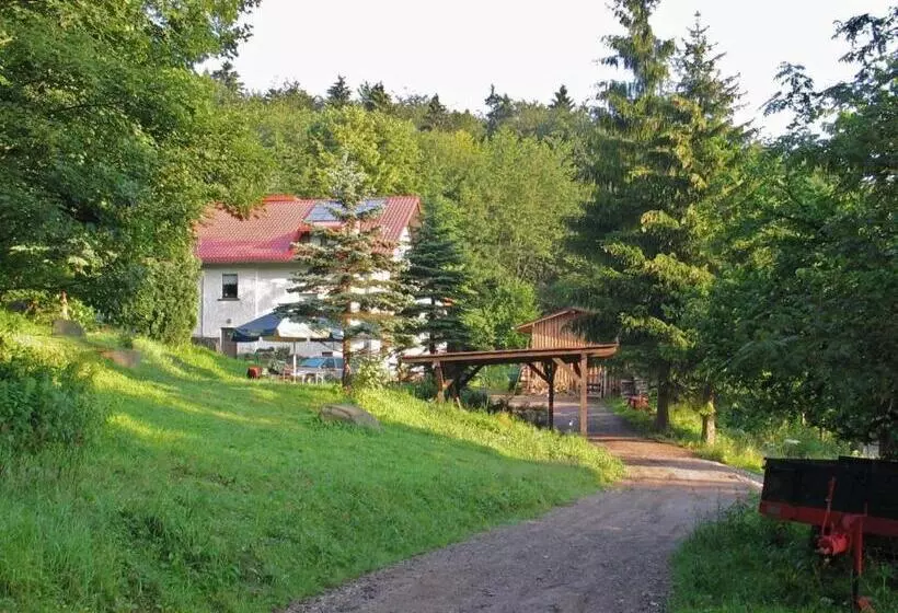 Apartment With Panoramic View