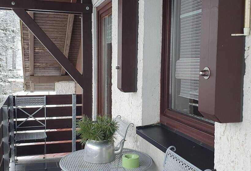 Apartment With Panoramic View