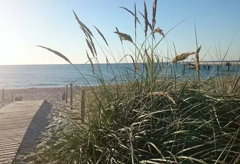 Quaint Apartment In Rerik Near Sea Beach