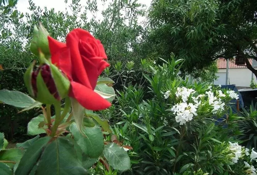 Villa Jadranka Privlaka