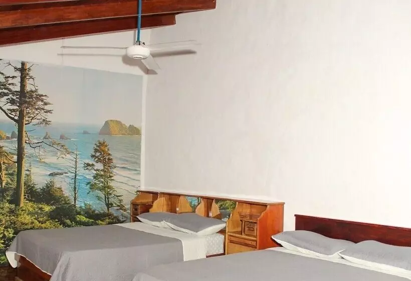 Hotelli Vista Real Manuel Antonio