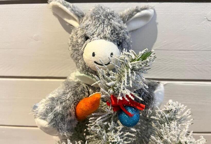 Le Refuge De L âne Carotte Aubagne Cassis Aix En Provence