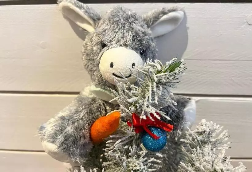 Le Refuge De L âne Carotte Aubagne Cassis Aix En Provence