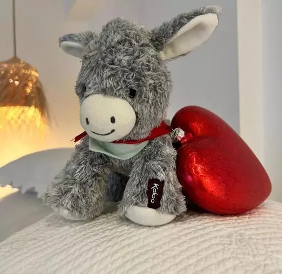 Le Refuge De L âne Carotte Aubagne Cassis Aix En Provence