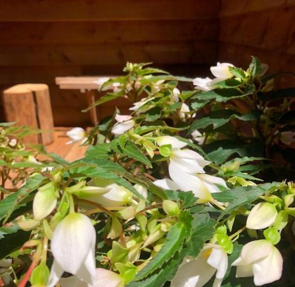 Le Refuge De L âne Carotte Aubagne Cassis Aix En Provence