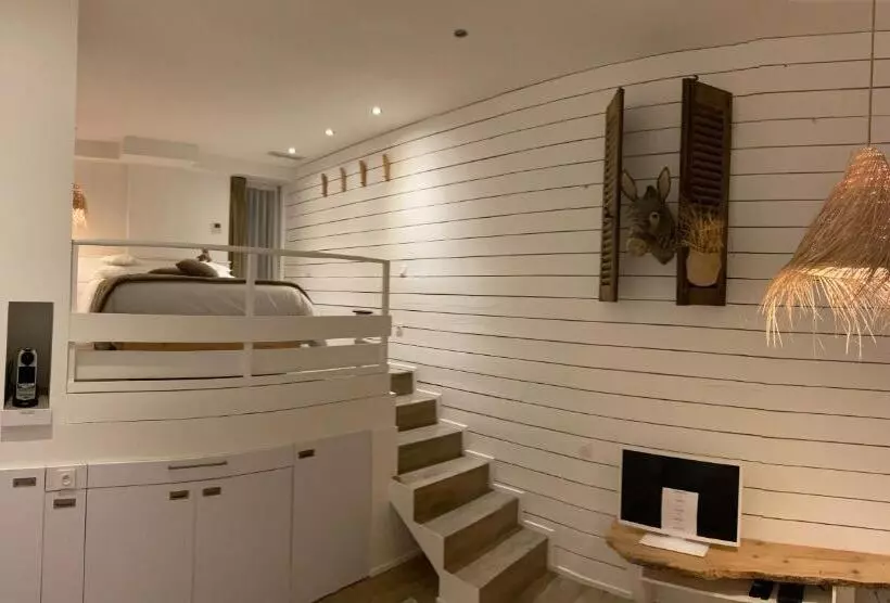 Le Refuge De L âne Carotte Aubagne Cassis Aix En Provence