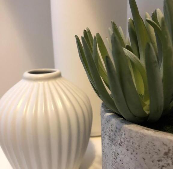 Le Refuge De L âne Carotte Aubagne Cassis Aix En Provence