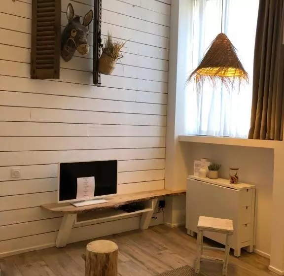 Le Refuge De L âne Carotte Aubagne Cassis Aix En Provence