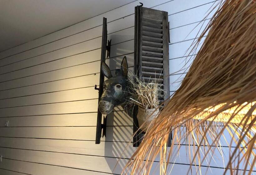 Le Refuge De L âne Carotte Aubagne Cassis Aix En Provence