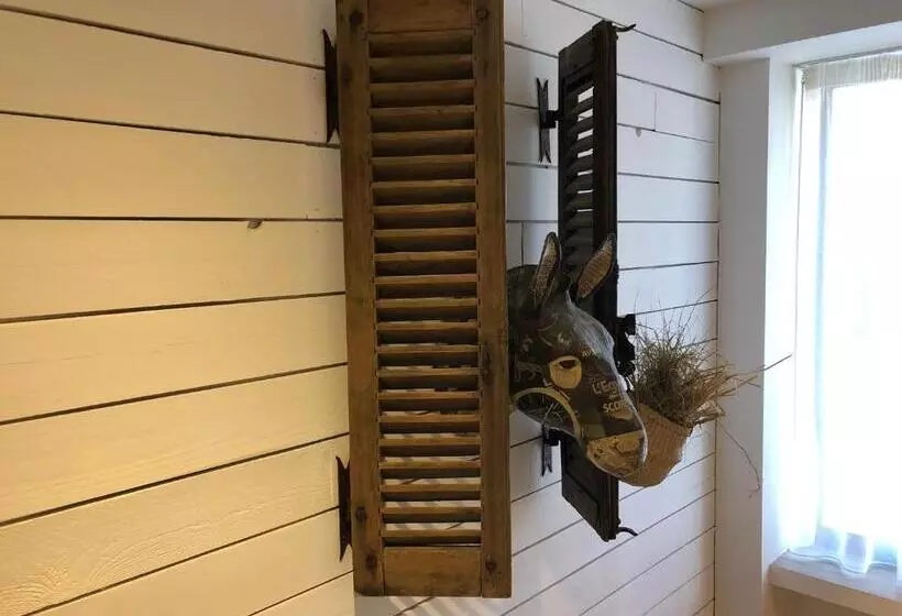 Le Refuge De L âne Carotte Aubagne Cassis Aix En Provence