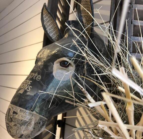 Le Refuge De L âne Carotte Aubagne Cassis Aix En Provence