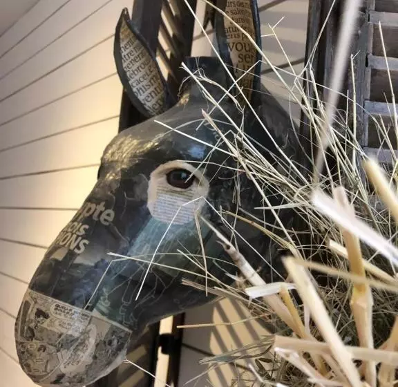 Le Refuge De L âne Carotte Aubagne Cassis Aix En Provence