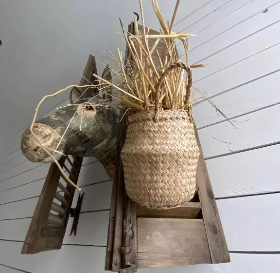 Le Refuge De L âne Carotte Aubagne Cassis Aix En Provence