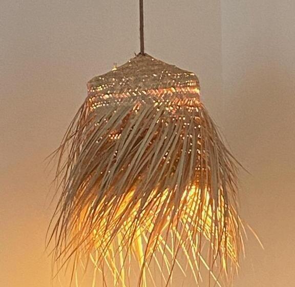 Le Refuge De L âne Carotte Aubagne Cassis Aix En Provence