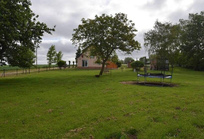 Tranquil Apartment With Terrace In Blowatz Near Sea