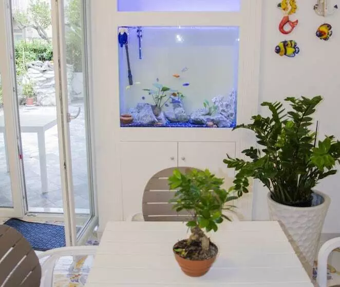 Aamiaismajoitus (B&B) Praja Vecchia