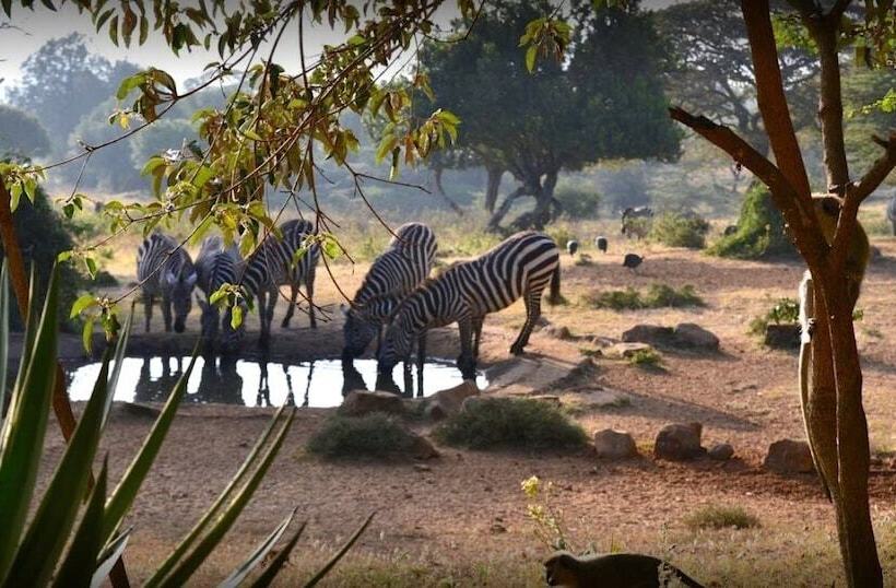 هتل Maralal Safari Lodge