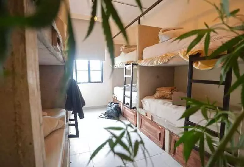 Distrito Hostel