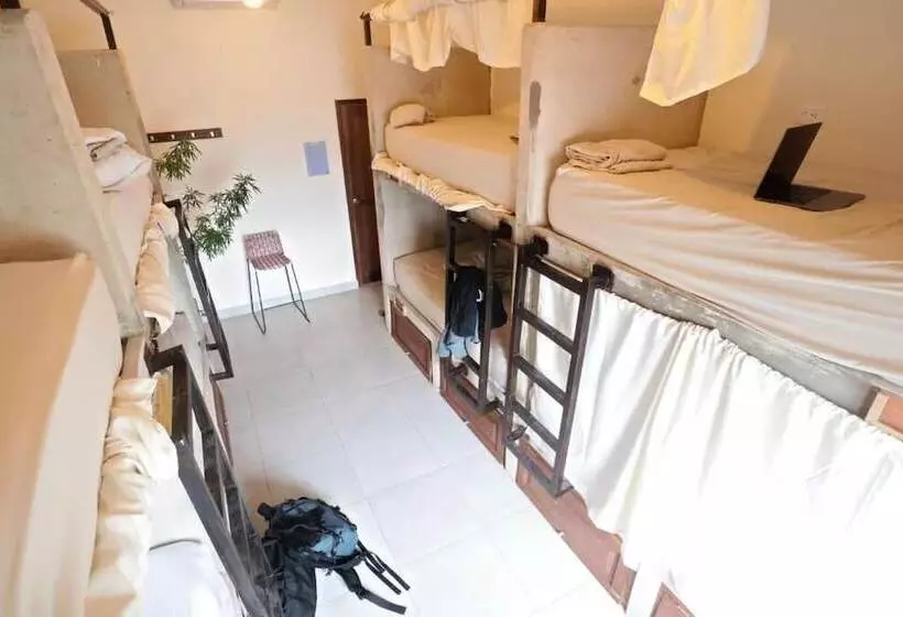 Distrito Hostel