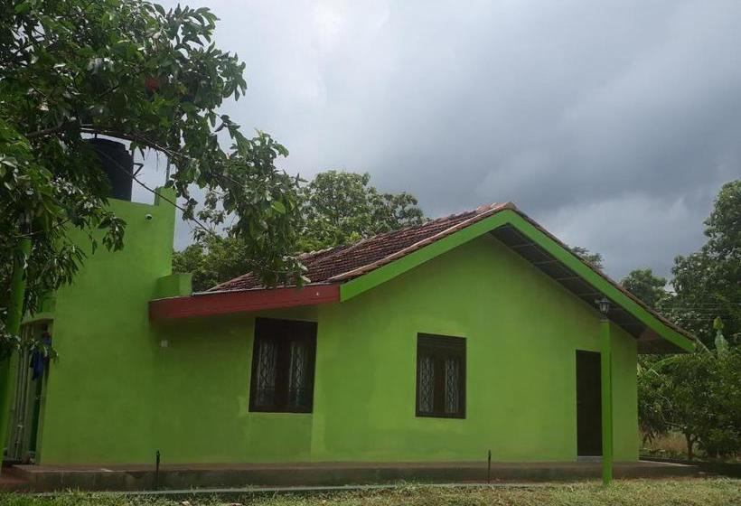 Hotel Nebula Farm House