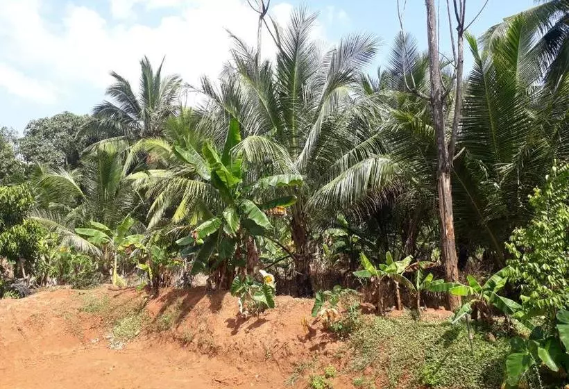 هتل Nebula Farm House