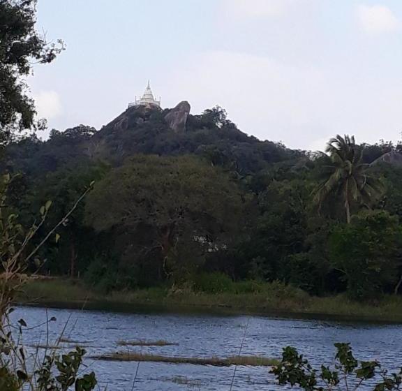 Hotel Nebula Farm House