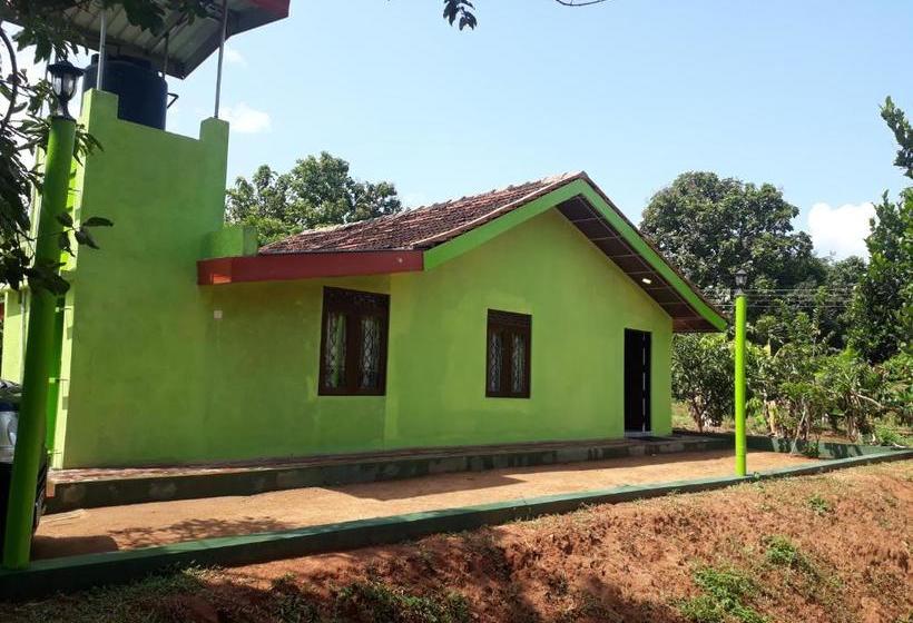 Hotel Nebula Farm House