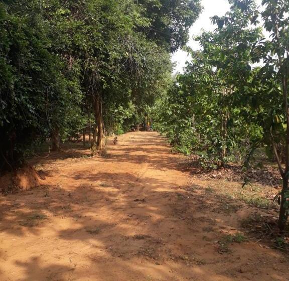 Hotel Nebula Farm House