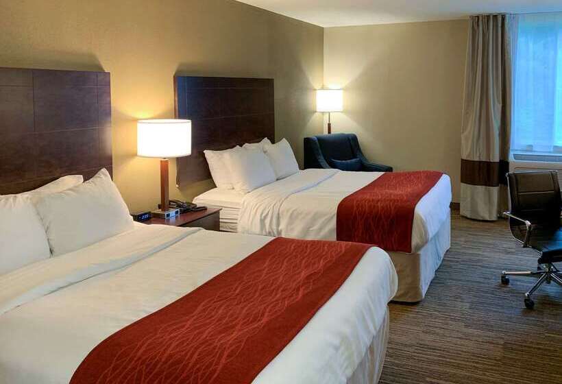 בית מלון כפרי Comfort Inn & Suites East Hartford  Hartford