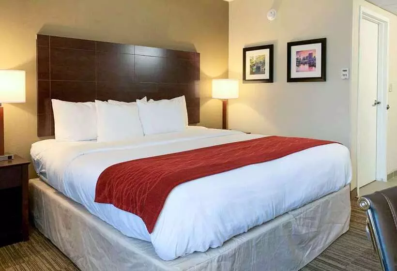 호텔 Comfort Inn & Suites East Hartford  Hartford