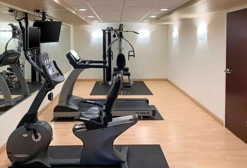 호텔 Comfort Inn & Suites East Hartford  Hartford