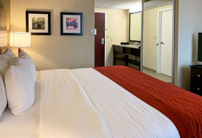 בית מלון כפרי Comfort Inn & Suites East Hartford  Hartford
