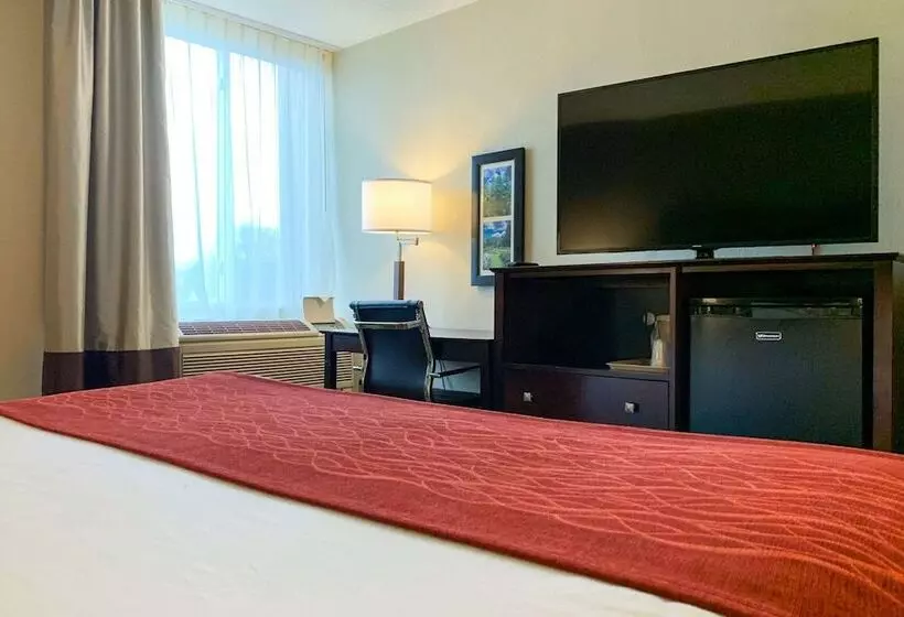 호텔 Comfort Inn & Suites East Hartford  Hartford