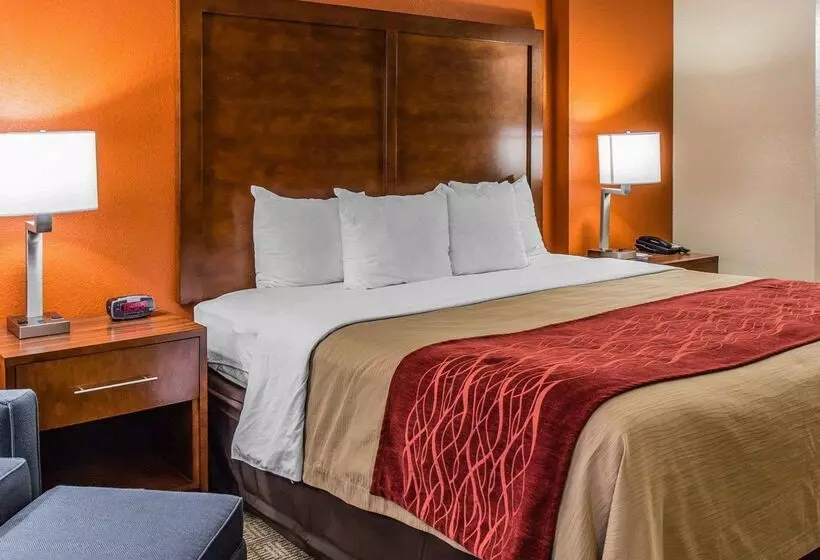 Отель Comfort Inn & Suites Lakeland North I4