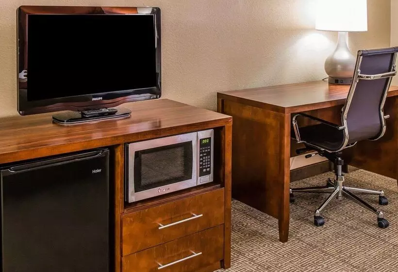 Отель Comfort Inn & Suites Lakeland North I4