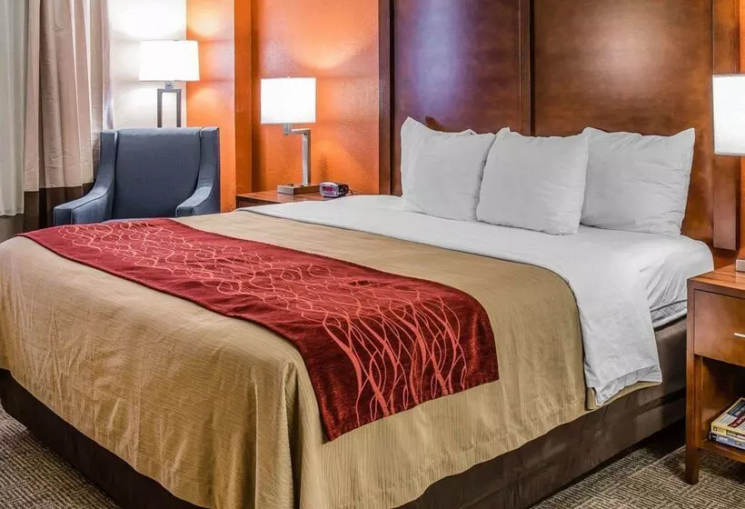 Отель Comfort Inn & Suites Lakeland North I4