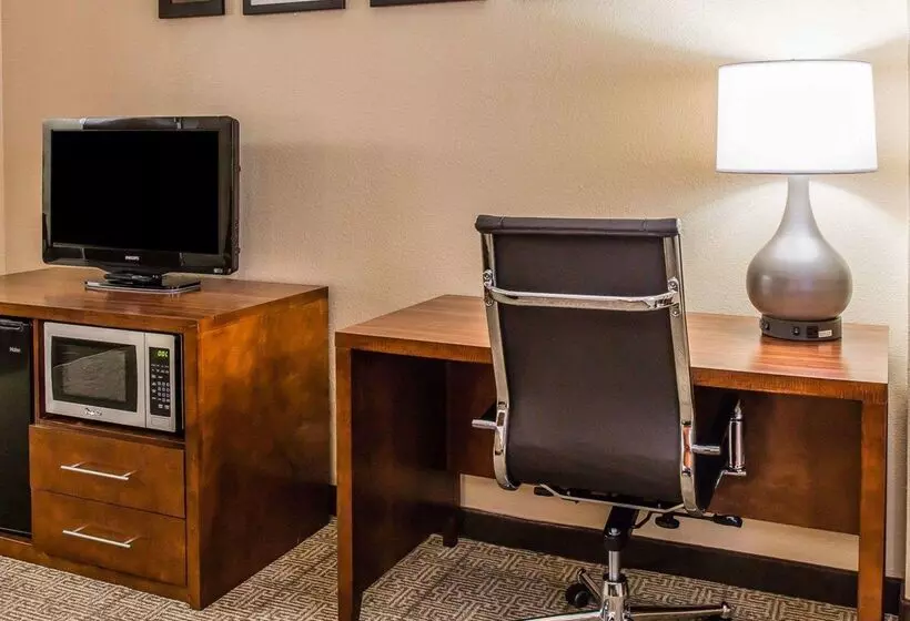 Отель Comfort Inn & Suites Lakeland North I4