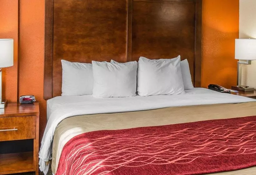 Отель Comfort Inn & Suites Lakeland North I4