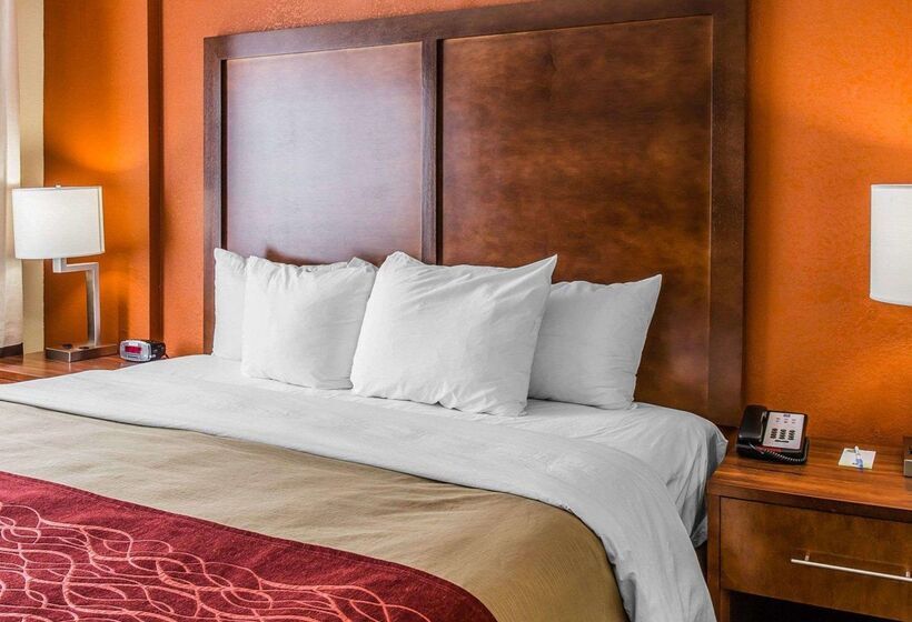 فندق Comfort Inn & Suites Lakeland North I4