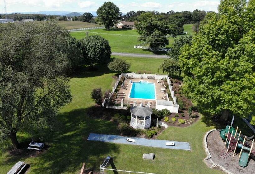 فندق The Village Inn