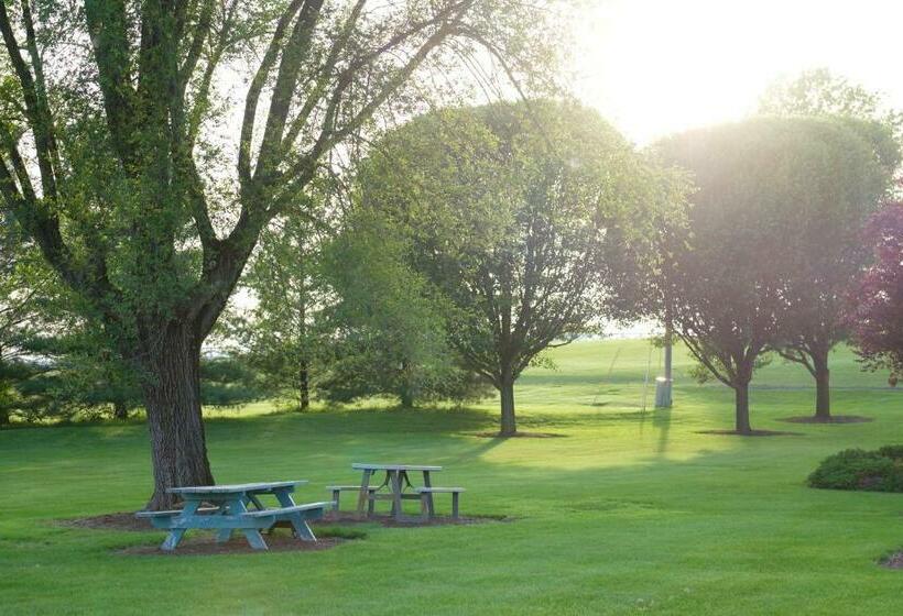 فندق The Village Inn