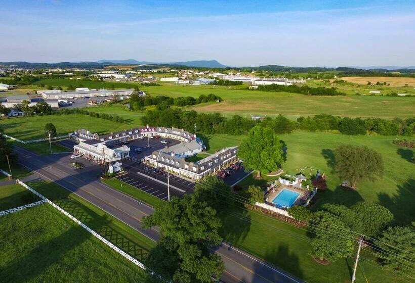 فندق The Village Inn